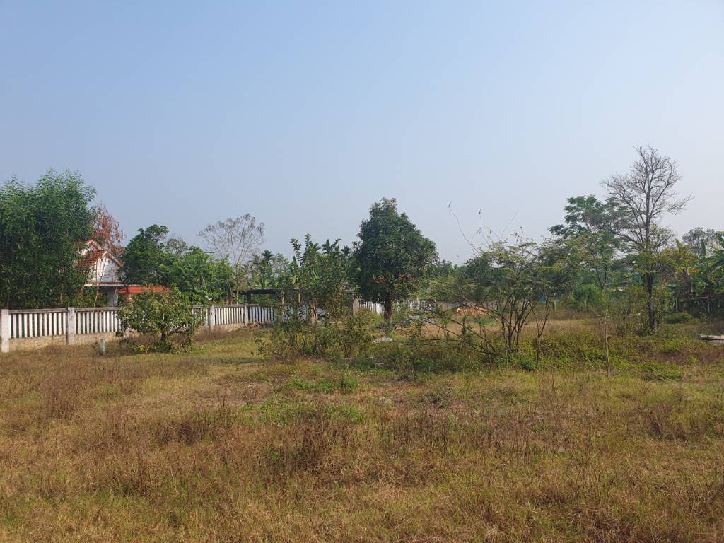 okevipp.com